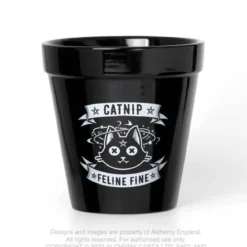 Alchemy Catnip - Kukkaruukku