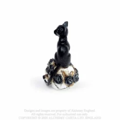 Alchemy Cat Skull - Mini koriste esine