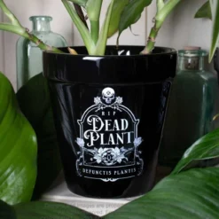 Alchemy Dead Plant - Kukkaruukku