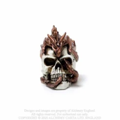 Alchemy Gothic Dragon keeper Skulls - Mini koriste esine