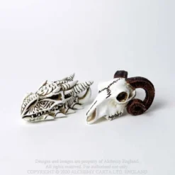 Alchemy Gothic Dragon Skull - Mini koriste esine