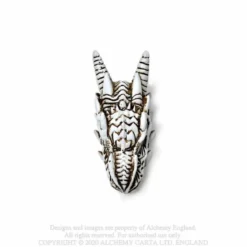 Alchemy Gothic Dragon Skull - Mini koriste esine