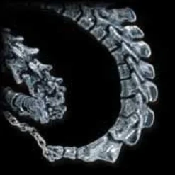 Alchemy Gothic Vertebrae - Ranneketju
