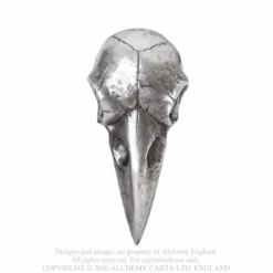 Alchemy Raven Skull - käsipeili, silver