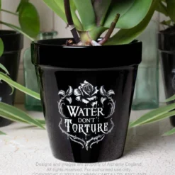 Alchemy Water don't torture - Kukkaruukku
