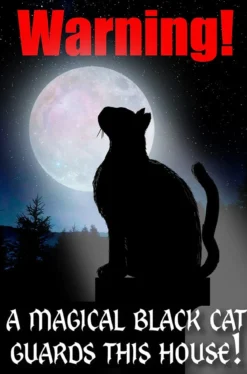 A Magical Black Cat Guards This House - Peltikyltti