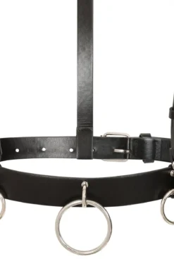 Banned Dominion - Harness