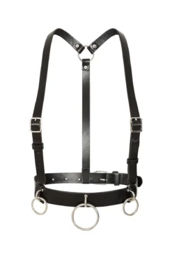 Banned Dominion - Harness