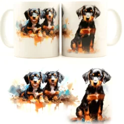 Dachshund Puppies III -Muki
