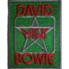 David Bowie: Back Stage Pass -Kangasmerkki