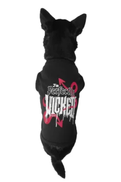 Killstar Wicked- Koiran paita