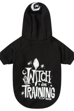 Killstar Witch In Training - Lemmikin huppari