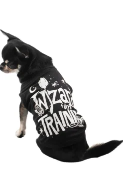 Killstar Wizard in training - Koiran paita