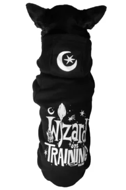 Killstar Wizard In Training - Lemmikin huppari