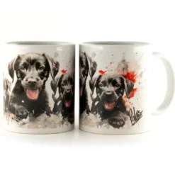 Labrador Puppies -Muki