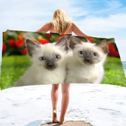 Pyyhe - Two cats